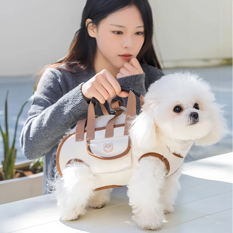 Pet Carrier Polyester Small Dogs Cats Warm Slings Backpacks Belt Closure Portable Crossbody Cartoon Shoulder
