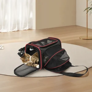 Pet Carrier Portable Foldable Adjustable Nylon Plastic Luxury Backpack with Zipper Closure for Dogs Cats Small Animals
