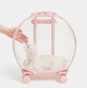 Pet Carrier with 2 Mats Clear Trolley Pet Carrier
