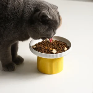 Pet Cat Supplies Snack Bowl Ceramic Bowl Prevent Chin Blacking Elevated Neck Protecting Cat Food Bowl