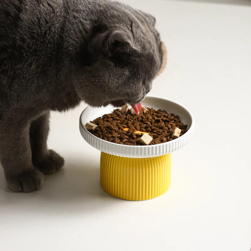 Pet Cat Supplies Snack Bowl Ceramic Bowl Prevent Chin Blacking Elevated Neck Protecting Cat Food Bowl