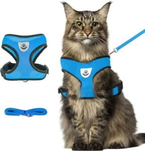 Pet Chest Harness and Leash Anti-Escape Adjustable Soft Mesh Cat Leash and Chest Harness Set for All Types of Cats Cat Vests
