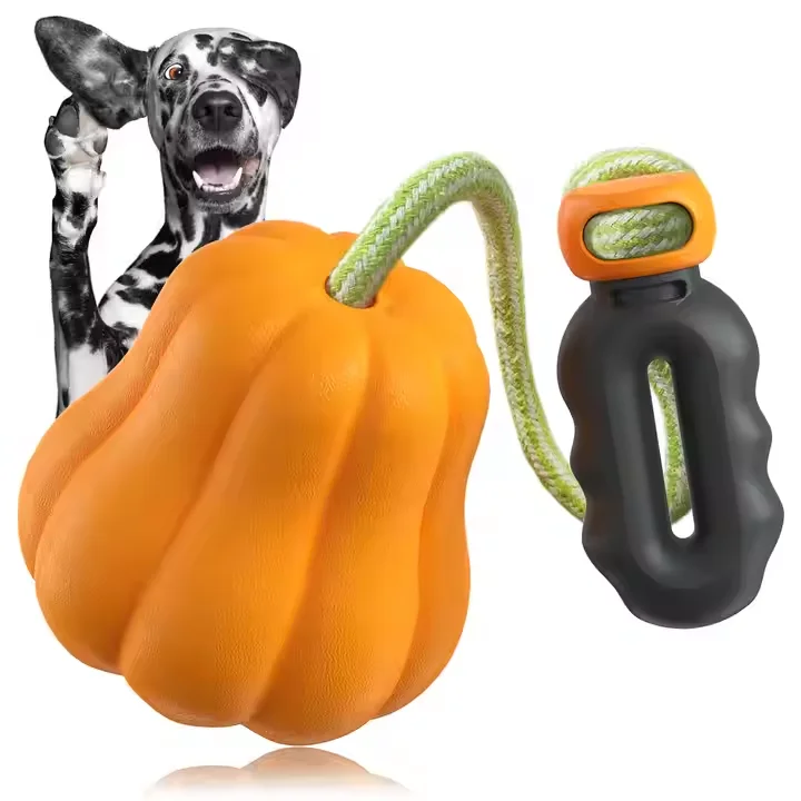 Pet Chew Toys Training Behavior Products for Dogs Accesorios Para Mascotas