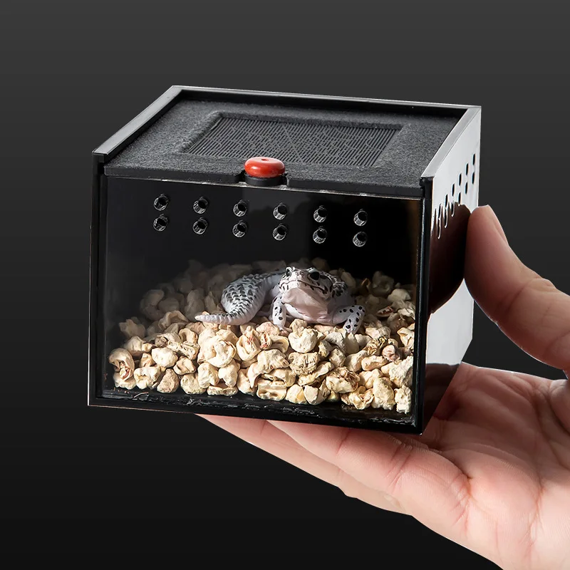 Pet Climbing Box Pet Reptile Tank for Gecko Lizard Scorpion Unicorn Insect Acrylic Reptile Cage
