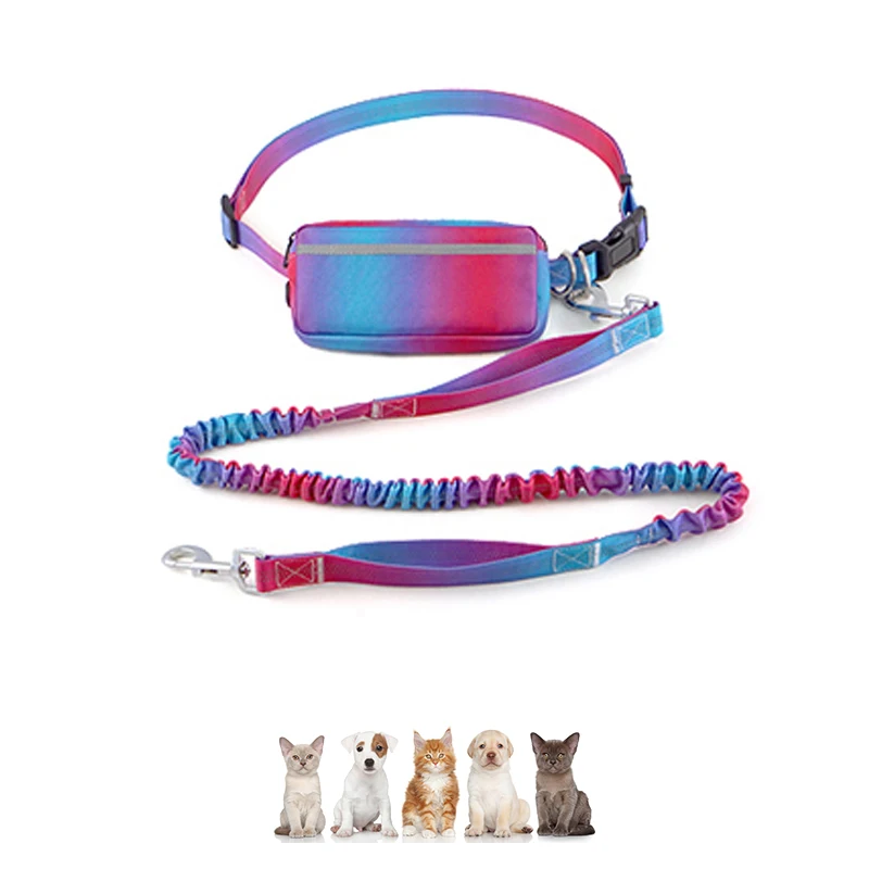 Pet Collar Leashes Design OEM Available Secure Fit for Daily Walks and Pet Exercise