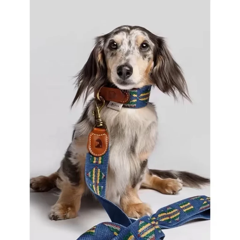 Pet Collar and Leash Set Adjustable Durable Pet Collars with Dog Leashes Luxury Dog Harness