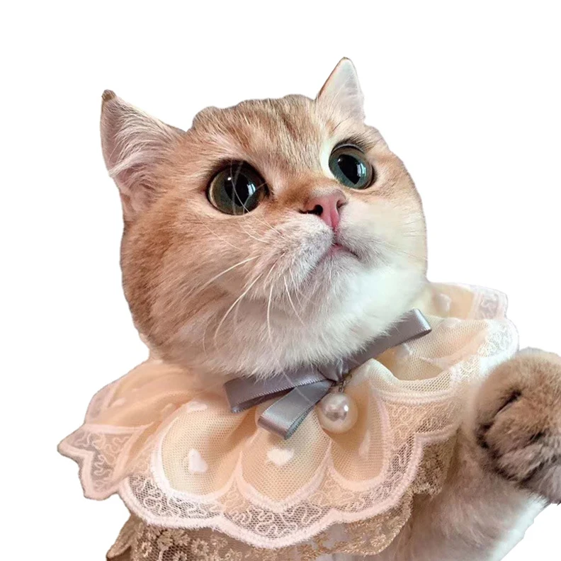 Pet Collars Designer Fashion Style 3 Layer Lace with Ribbons and Big Pearl Flower Pattern Cat Collar