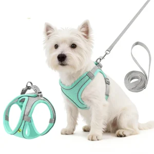 Pet Collars Leashes Harnesses Set Reflective Breathable Nylon Chest for Cats Dog Quick Release Buckle Anti-Slip Soft Mesh Vest