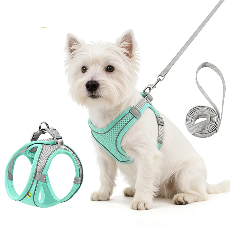 Pet Collars Leashes Harnesses Set Reflective Breathable Nylon Chest for Cats Dog Quick Release Buckle Anti-Slip Soft Mesh Vest