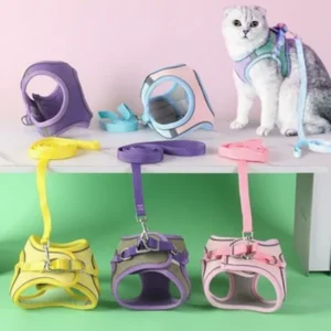 Pet Collars Leashes Harnesses Set for Outdoor Use Anti Escape Vest Cat Dog Luxury Leather Leash