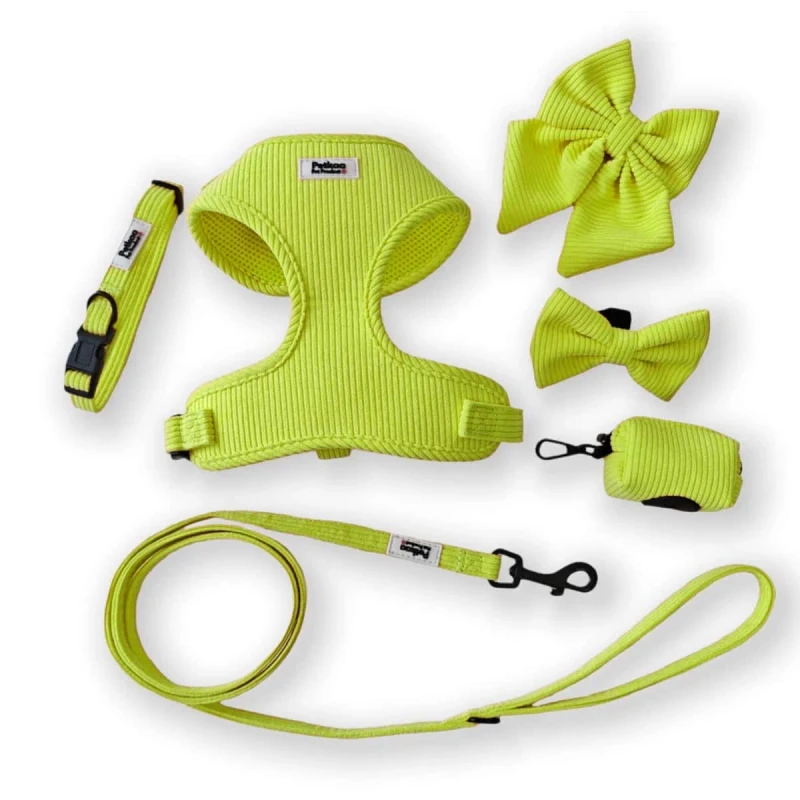 Pet Collars Leashes & Harnesses Small Quantity Corduroy Fabric Dog Accessories Pet Collars Leashes & Harnesses Set