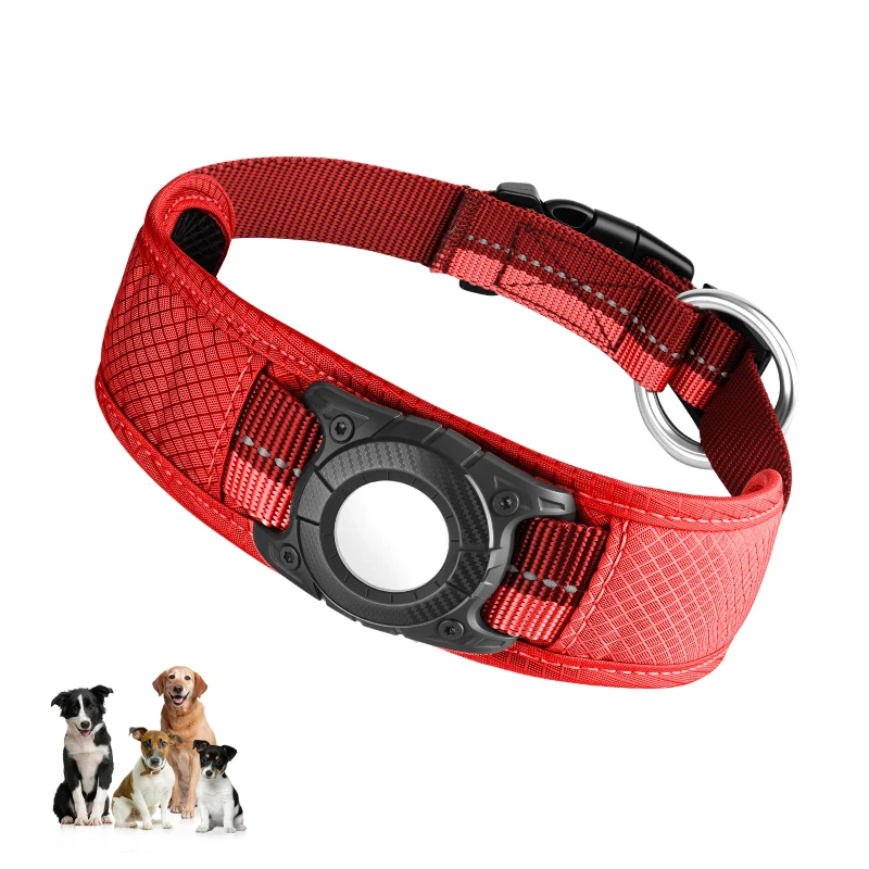 Pet Collars Luxury Elegant Gold Buckle Soft Lining OEM Available Factory Supply Exporter