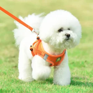 Pet Collars Walk Leash Leashes Harnesses Nylon Pets Vest Harness Reflective Adjustable Breathable Harness Products
