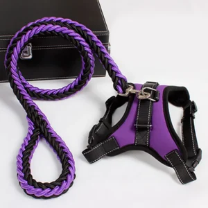 Pet Comfortable Dog Harness Matching Leash Set Adjustable Durable Nylon Padded