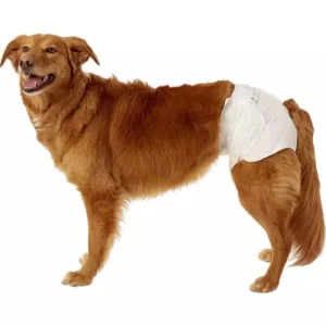 Pet Diaper Dog Female Large Cute Absorption Label Disposable Physiological Dog Diapers