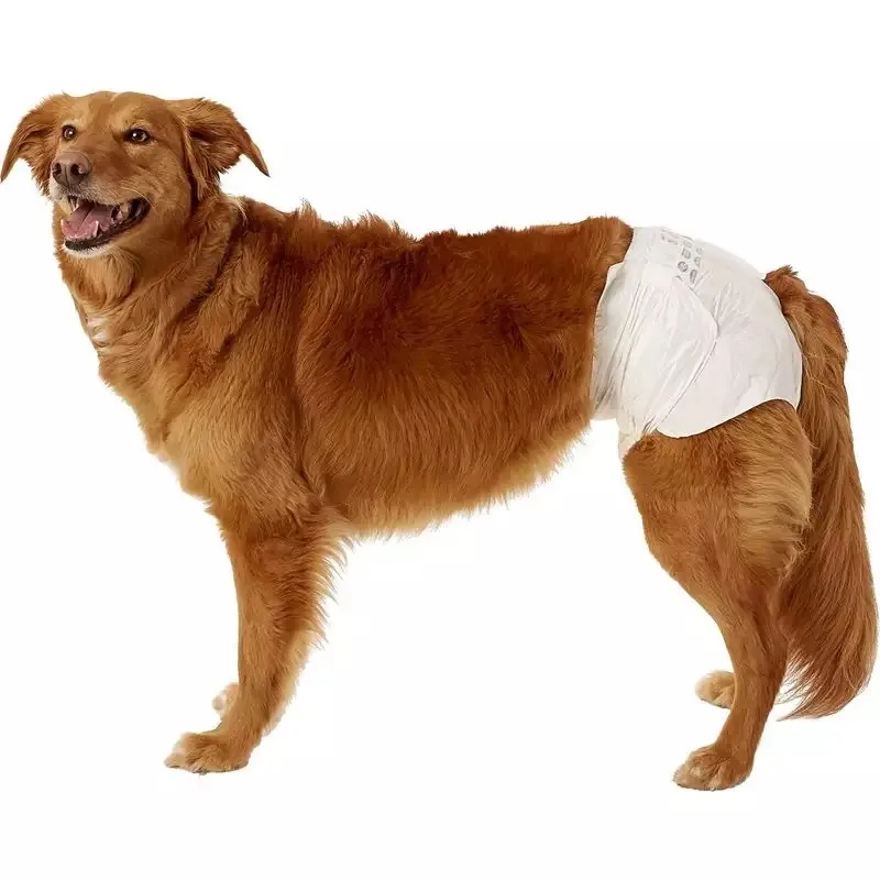 Pet Diaper Dog Female Large Cute Absorption Label Disposable Physiological Dog Diapers