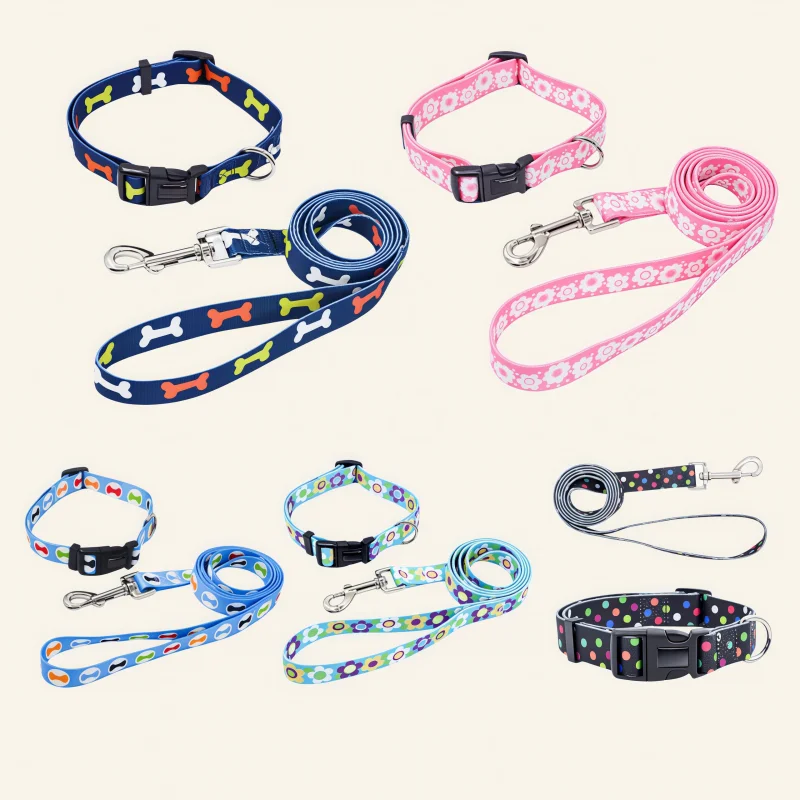 Pet Dog Accessories Pattern Nylon Luxury Training Dachshund Cat Dog Collar and Leash Set Lead Belt for Dogs