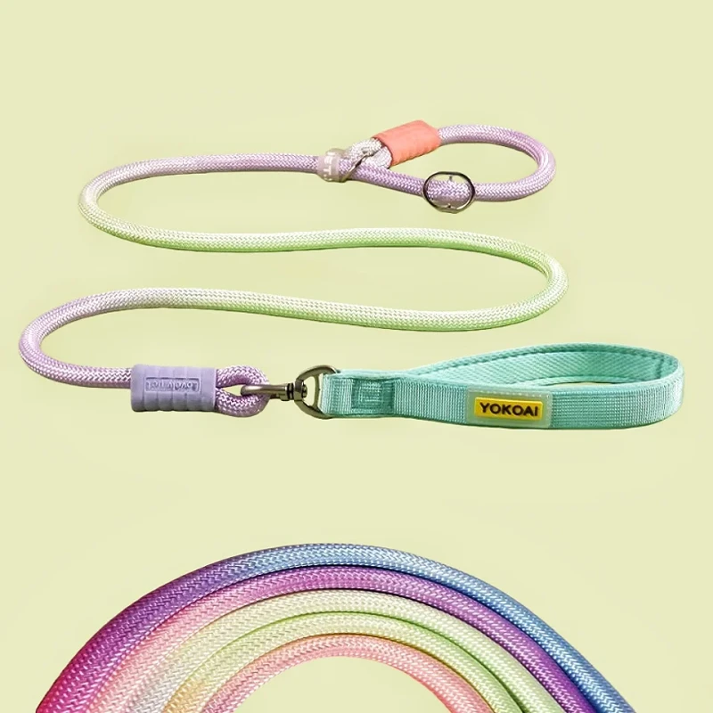 Pet Dog Cat Accessories Fashion Gradient Colors Heavy Duty Training Nylon Luxury Rope Slip Lead Dog Collar and Leash Set