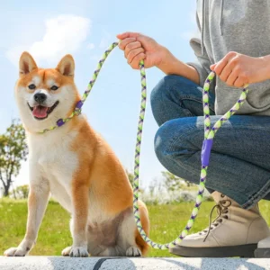 Pet Dog Cat Accessories Fashion Heavy Duty Training Nylon Luxury Dog Collar and Leash Set Rope Slip Lead
