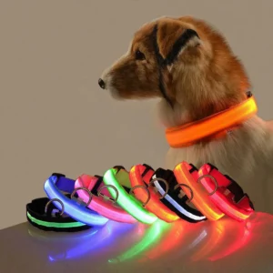 Pet Dog Collar Night Safety Flashing LED Lights Nylon Adjustable Dog Leash Luminous Fluorescent Collars