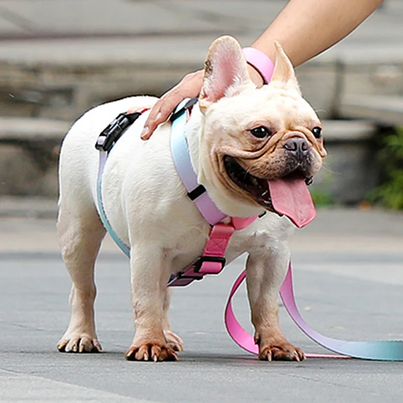 Pet Dog Harness Adjustment Colorful Three Sizes Easy Control Harness for Small Medium Large Dogs Training Walking Vest Harness