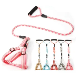 Pet Dog Harness Leash Set