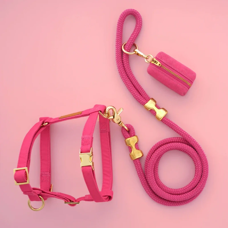 Pet Dog Harness Set Soft Padded Adjustable Harness Accessories