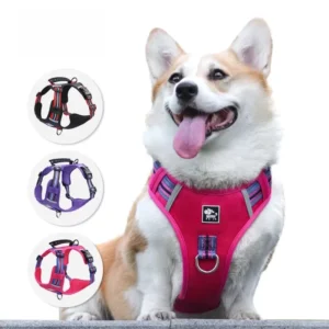 Pet Dog Leash Suitable for Small to Medium-sized Large Dogs for Outdoor Training Adjustable Dog Leash Pet Accessory
