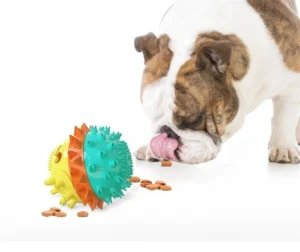 Pet Dog Training Toys Elastic Ball Leak Food Feeder Dog Chew Toys for Aggressive Chewers
