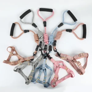 Pet Dog Vest Style Anti Pull Leash for Small Dogs Outdoor Walking Pet Dog Harness Set