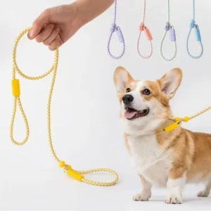 Pet Dog cat Accessories Fashion Heavy Duty Training Nylon Luxury Dog Rope slip Lead Collar and Leash Set