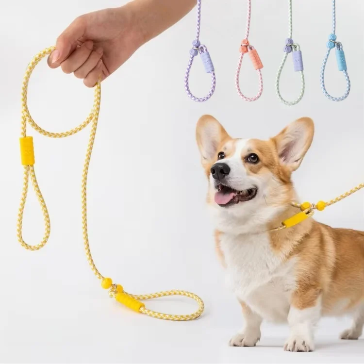 Pet Dog cat Accessories Fashion Heavy Duty Training Nylon Luxury Dog Rope slip Lead Collar and Leash Set