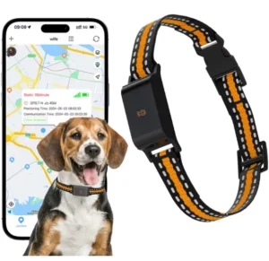 Pet Electronic Product Waterproof 4G Anti Slip C09 Model Cat and Dog GPS Electronic Tracker