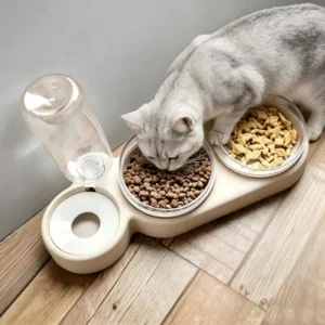 Pet Food Drinking Bowl Dog Cat Feeder Two Bowls Feeder with Water Fountain for Cat and Dog
