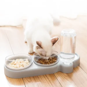 Pet Food Drinking Bowl Dog Cat Feeder Two Bowls Feeder with Water Fountain for Cat and Dog Feeding Bowl