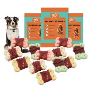 Pet Food Factory Oem Pet Food for Medium and Large Size Puppy Dry Dog Food