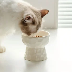 Pet Food and Water Bowl Dog Cat Feeder Pet Bowl