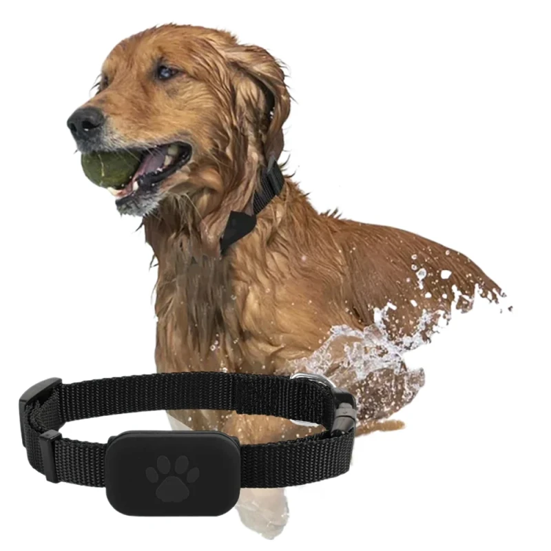 Pet GPS Tracker with Adjustable Collar Smart Locator for Dogs and Cats Compatible iOS Android