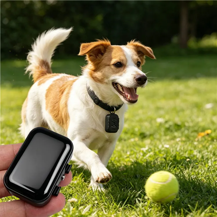 Pet GPS Tracker with Magnetic Charging Real-Time Tracking Multi-Mode Positioning 4G