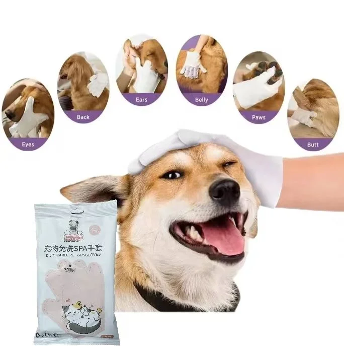 Pet Grooming Cleaning Wet Gloves Wipes for Dogs Private Label Pet Wet Wipes