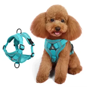 Pet H Harness Set for Cats Small Dogs Breathable Mesh Luxury Fur Trim Adjustable Easy On Off Premium Quality Harness