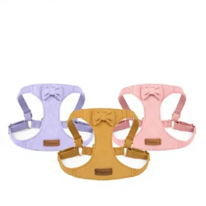 Pet Harness Chest Strap Leash Vest Style Three Piece Set Collar & Leash with Bow for Small Dogs and Cats Outdoor Walking