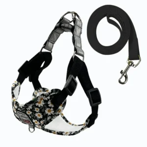 Pet Harness Leash New Arrival Dog Accessories Harness Vest With Leash