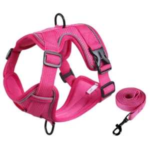 Pet Harness Leash New Arrival Reflective Dog Accessories Harness Vest With Leash