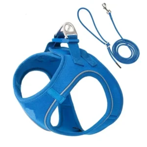 Pet Harness Leash Safe & Comfortable Control for Your Furry Friend