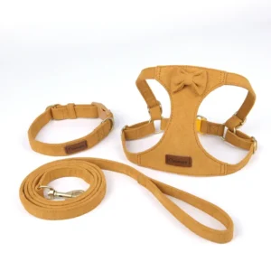 Pet Harness Leash Vest Style Bow Outdoor Dog Harness Set Leash Collar Cat Small Dog Walking