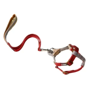Pet Harness Leash Vest Style Dog and Cat Leash with Plastic Buckle Closure All Season Use Rope Pet Supplies
