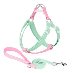 Pet Harness Pets Accessories Dog Collar Leash Harness Set Nylon Webbing Pet Dog Sport Harness