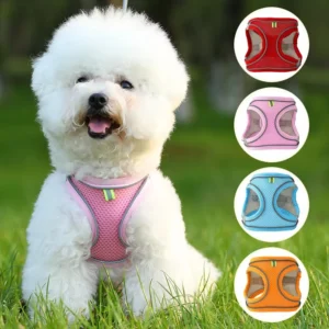 Pet Harness Reflective Nylon Dog Leash Harness Set Small Puppy Dog Cat Harness Pet Products