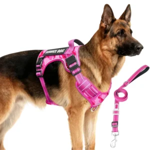 Pet Harness and Leash Set Durable Reflective Lightweight Breathable Mesh Dog Harness for Small Medium Dogs